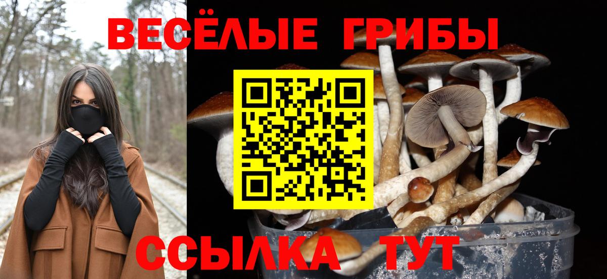 Иваново  Псилоцибиновые грибы прущие грибы  Вход с VPN 
