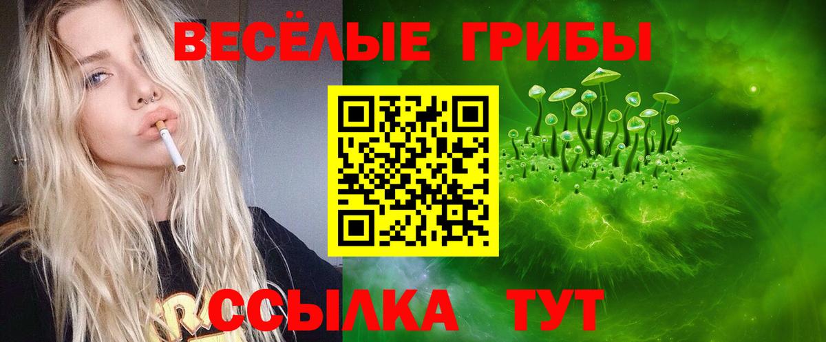 Галлюциногенные грибы MAGIC MUSHROOMS Иваново